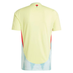 Maillot 2rd Espagne 2024